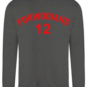 Forwodians old sweater